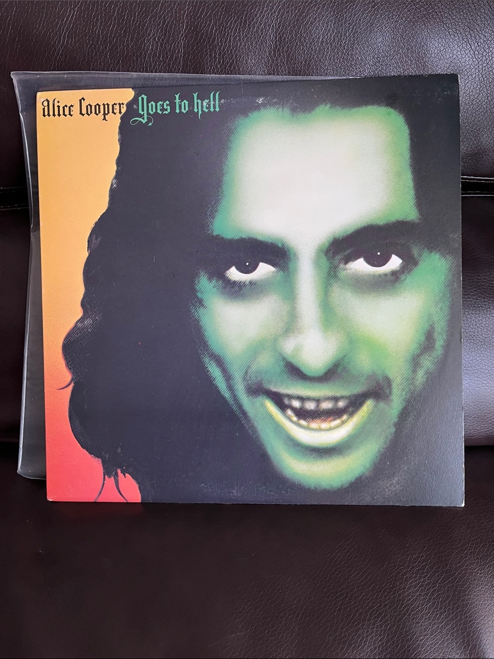 Alice Cooper Goes To Hell Vinyl LP 1976 Warner Bros. Record BS-2896